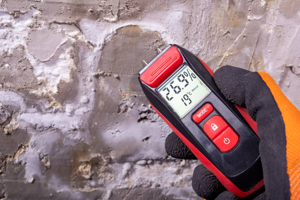 Best Residential Mold Remediation in Somerset, OH
